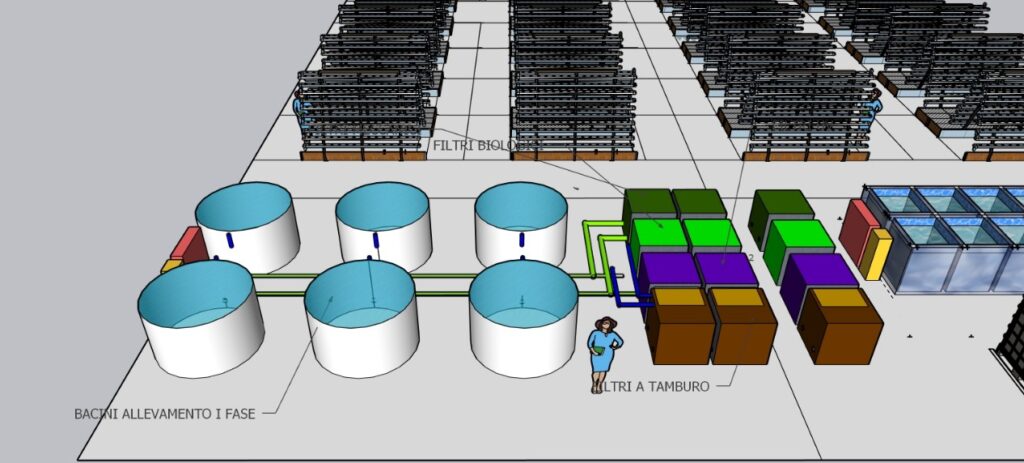 Particolare Serra comparto ittico 2 fase